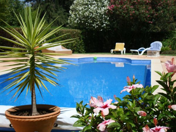 Pool Terrace Renovation in North Las Vegas