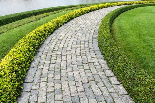 Sidewalk Pavers Installation in North Las Vegas